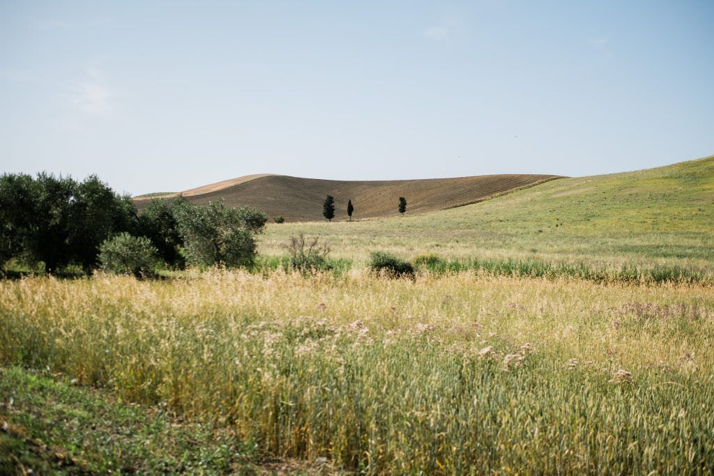 honeymoon photoshoot in matera
