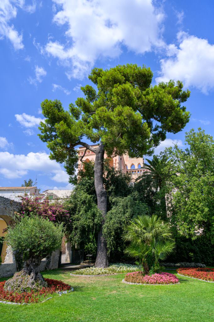surprise-proposal-giardini-principessa-piemonte
