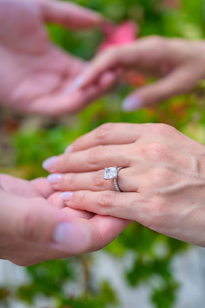 surprise-proposal-giardini-principessa-piemonte