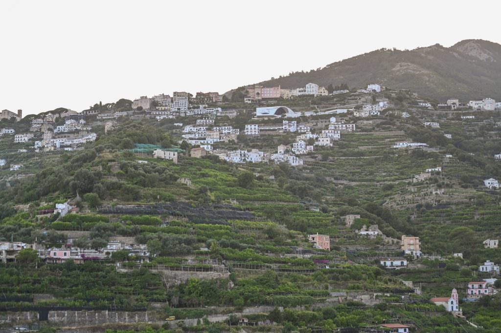 belvedere mortella minori