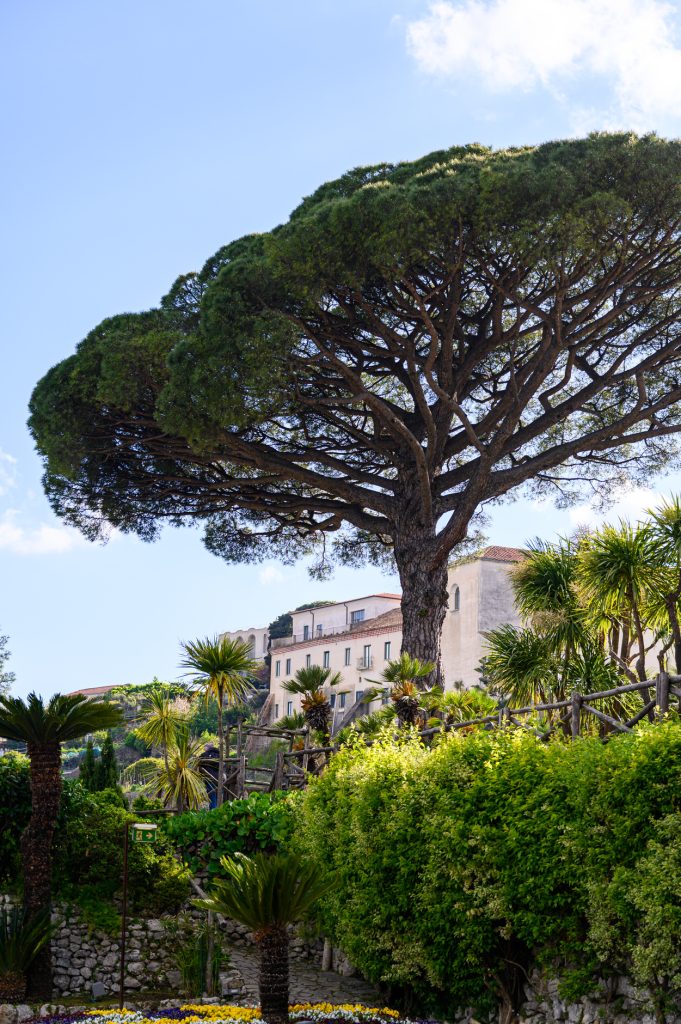 surprise proposal villa rufolo